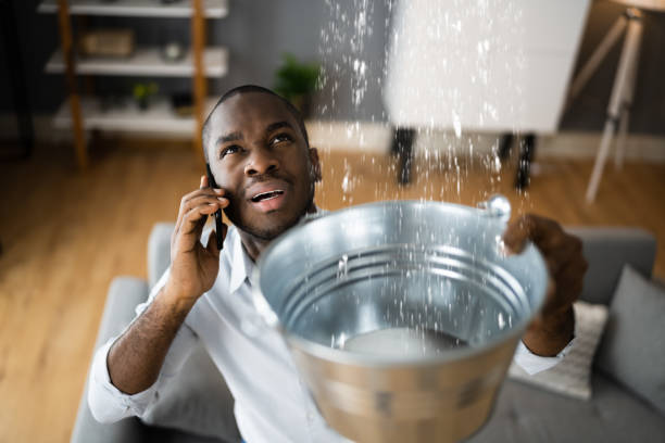 Best Ceiling water damage repair  in Raytown, MO