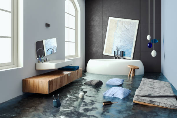 Best Water damage restoration insurance claims  in Raytown, MO