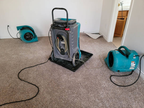 Best Flooded house restoration  in Raytown, MO