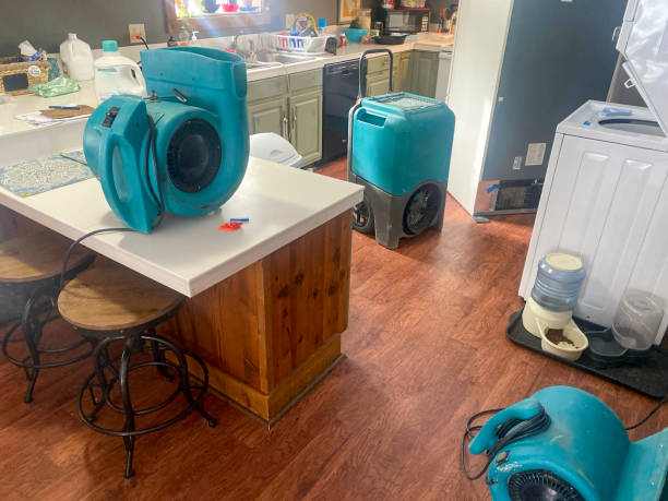 Best Sewage cleanup and water damage restoration  in Raytown, MO
