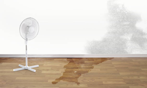 Best Commercial water damage restoration  in Raytown, MO
