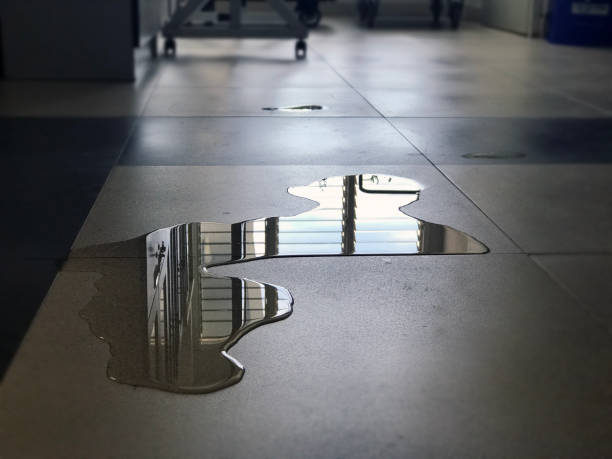 Best Professional water damage repair  in Raytown, MO