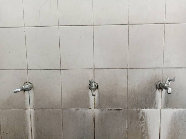  Raytown, MO Water damage restoration Pros