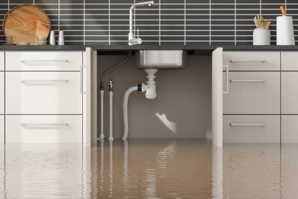 Best Flooded house restoration  in Raytown, MO